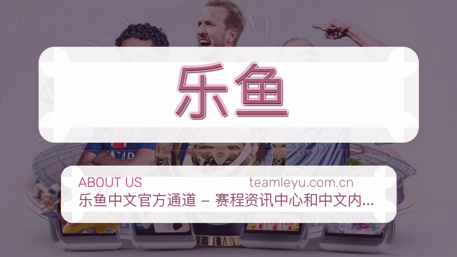 乐鱼关于平台与用户服务展示